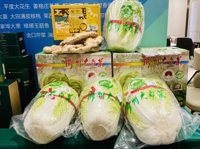 “胶州大白菜”入选山东地理标志运用促进工程重点项目