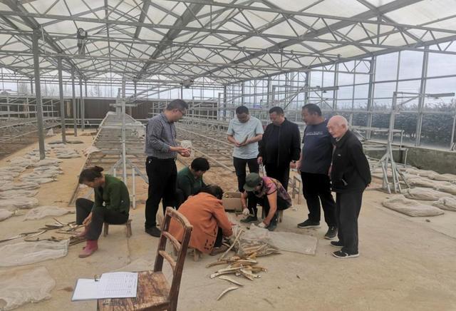 谷城县陈定国荣获襄阳市离退休干部“风范长者”称号