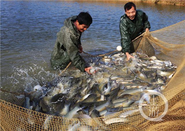 个个都是“打卡地”！11处滨水文化节点亮相梁平