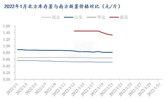 Mysteel解读：广东惠东新薯如期上市 高开低走速度快于往年