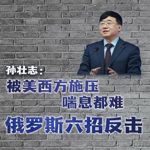 纵论天下｜孙壮志：被美西方施压喘息都难 俄罗斯六招反击