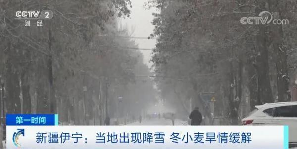 这个周末，雪继续下！今年最大范围雨雪天气，会下到你家吗