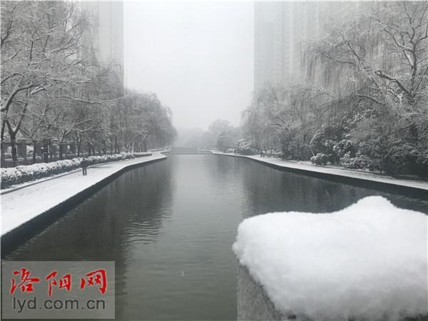 降雪量将达4毫米以上！洛阳市气象台发布暴雪蓝色预警信号