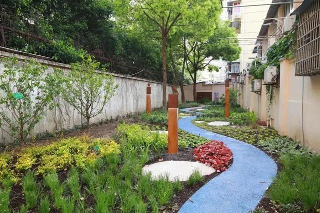 定了！长宁今年再建8座“生境花园”，有你家附近的吗？