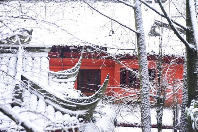 雅安蒙顶山景区迎瑞雪 红墙、白雪、银枝美不胜收丨冬游四川上封面