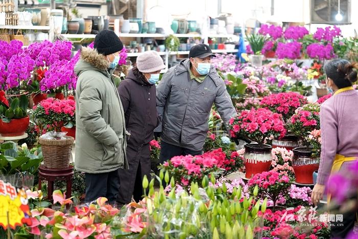 石家庄：年味渐浓 花卉走俏节日市场