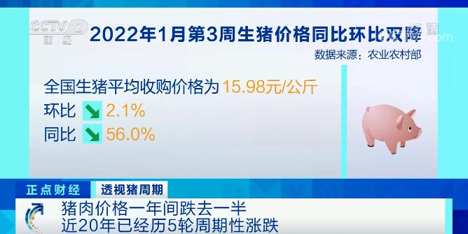 猪肉价格一年间跌去一半！养殖户清空猪圈！有上市公司预亏138亿元！未来价格如何？