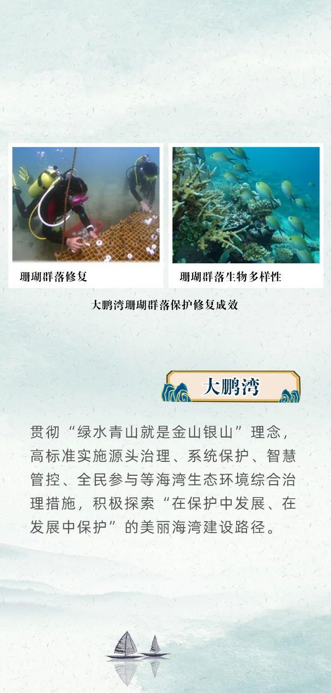 水清滩净、鱼鸥翔集、人海和谐，首批美丽海湾案例在哪里？