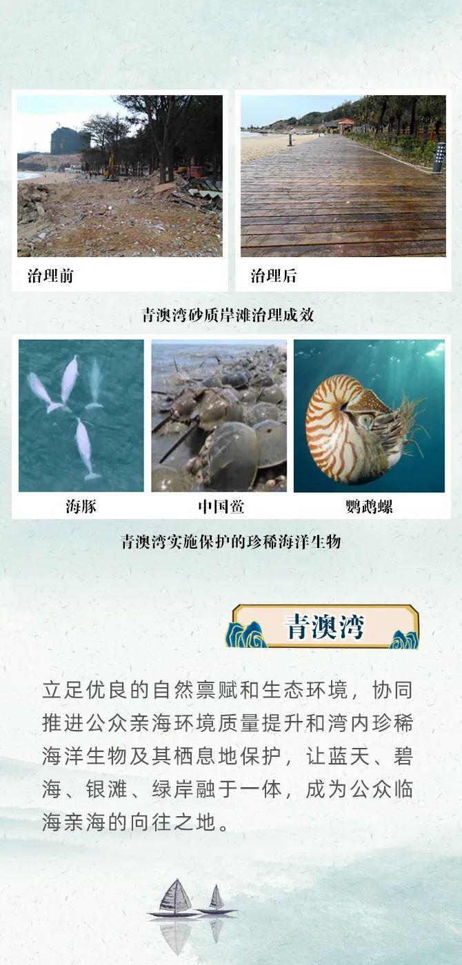 水清滩净、鱼鸥翔集、人海和谐，首批美丽海湾案例在哪里？