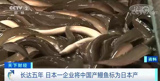 中国蛤蜊也成日本“国产”了！方法很“简单”：从中国进口撒在熊本县的滩涂上，然后再捡回来...