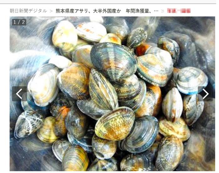中国蛤蜊也成日本“国产”了！方法很“简单”：从中国进口撒在熊本县的滩涂上，然后再捡回来...