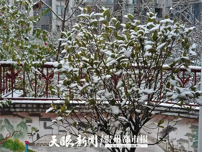 贵州66县降雪！多处高速公路交通管制