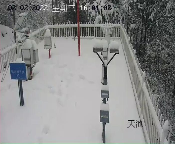 雪越来越大！浙江多地迎虎年第一场雪！何时见太阳，有消息了