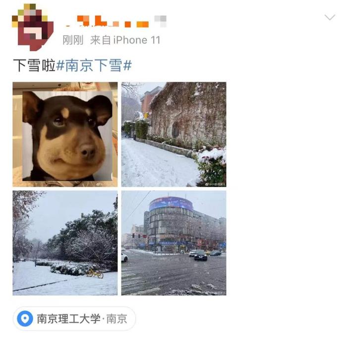 全国各地都在下雪！连苏州、杭州也下了，上海呢？