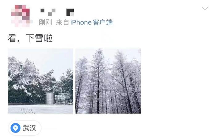 全国各地都在下雪！连苏州、杭州也下了，上海呢？