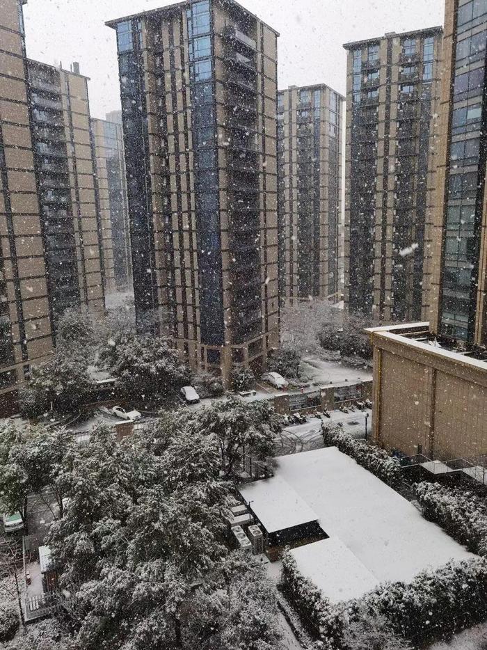 朋友圈赏雪大赛卷起来了！谁是杭州雪景最美的小区？