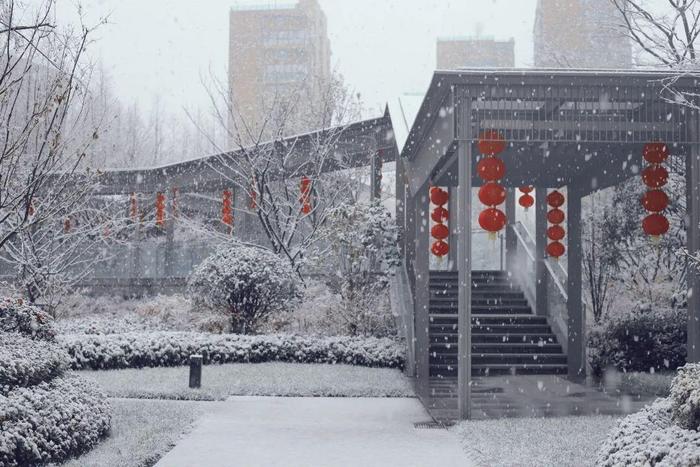 朋友圈赏雪大赛卷起来了！谁是杭州雪景最美的小区？