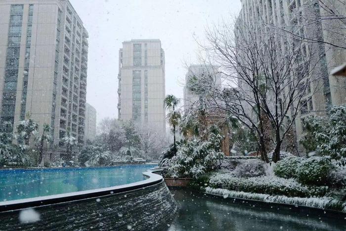 朋友圈赏雪大赛卷起来了！谁是杭州雪景最美的小区？