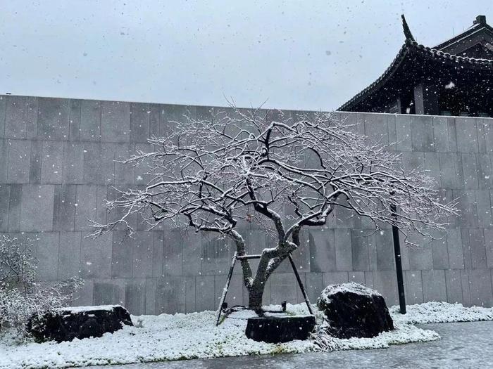 朋友圈赏雪大赛卷起来了！谁是杭州雪景最美的小区？