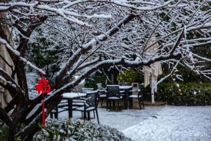 朋友圈赏雪大赛卷起来了！谁是杭州雪景最美的小区？