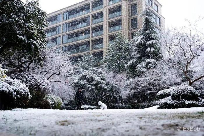 朋友圈赏雪大赛卷起来了！谁是杭州雪景最美的小区？