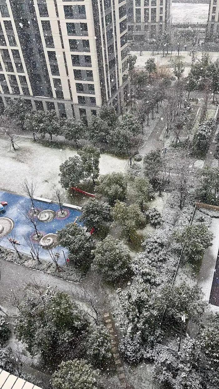 朋友圈赏雪大赛卷起来了！谁是杭州雪景最美的小区？