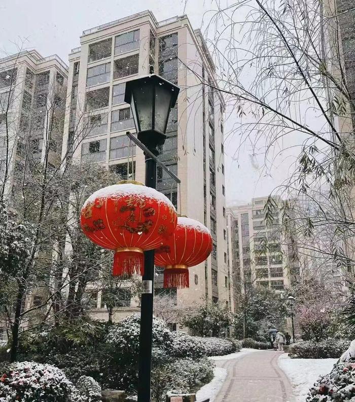 朋友圈赏雪大赛卷起来了！谁是杭州雪景最美的小区？