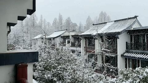 朋友圈赏雪大赛卷起来了！谁是杭州雪景最美的小区？