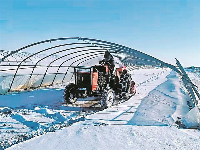 开展“数字农业”建设、购农机、备农资、清雪扣棚……北大荒集团万象“耕”新