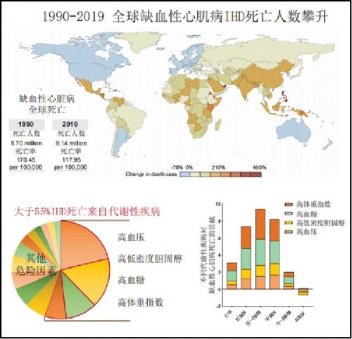 2021硕果累累 李红良教授团队在心血管代谢性疾病等领域连续取得重要进展