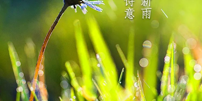 天涯共此时是什么时间点 w700h350z1l10t1097a.jpg