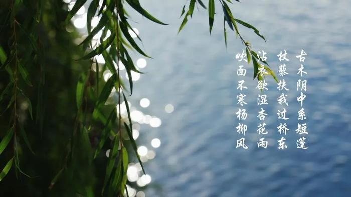 节气｜雨水，沾衣欲湿杏花雨