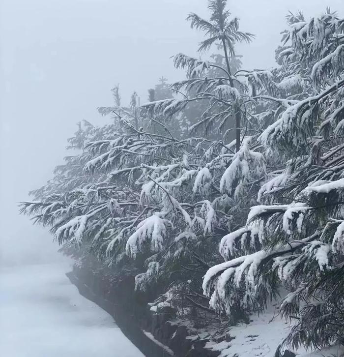 又要下雪了！下周气温“跌宕起伏”！最高气温冲10℃以上？