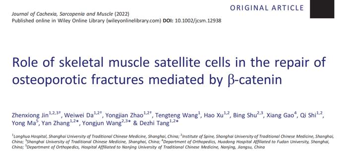 新闻 | 既要壮骨，又要强筋——脊柱病研究所团队首次揭示骨骼肌在促进骨质疏松性骨折愈合过程中的作用机制