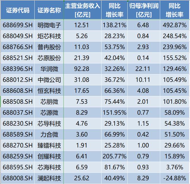 硬科技“起飞”：超九成科创板企业去年营收增长，半导体设备厂商利润飙升