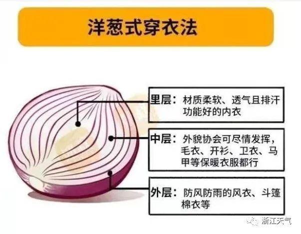 回暖啦！舟山最高气温冲上15℃！今年春茶开采时间大约在……