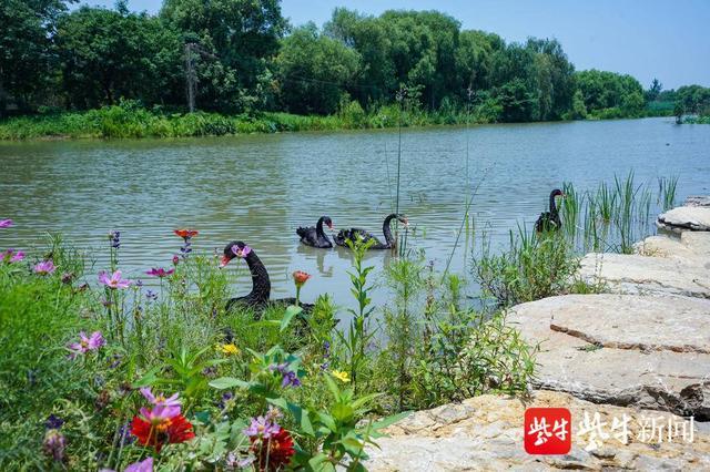 “云外簟凉吟峤月，岛边花暖钓江春”，风和日丽，扬州新城迎来一拨接一拨踏青赏春游客