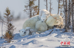 ��Ӱʦ��׽���������ӻ���˲��