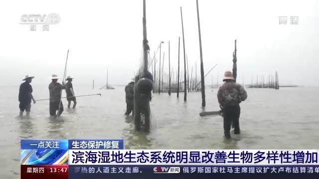 自然保护地占陆域国土面积的18% 我国构建起系统生态修复新体系