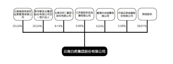 “超级牛散”的加持下，云南白药的炒股成绩，越来越像“韭菜”了