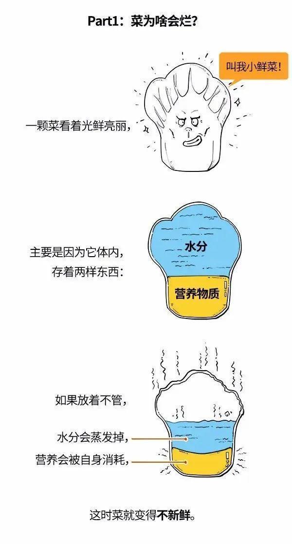 蔬菜该怎么样储存？什么情况下不建议食用？听听农业专家怎么说