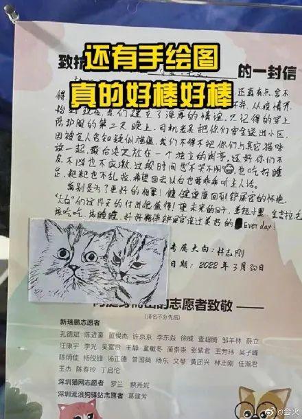 小猫小狗“隔离”后，获得了一张“荣誉证书”！