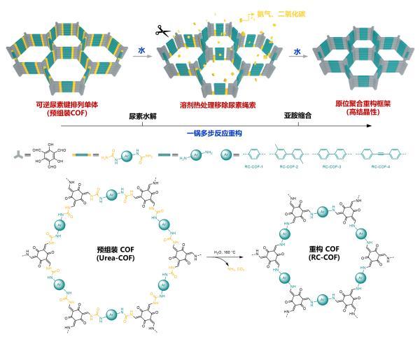 高结晶性高稳定性！受“化茧成蝶”启发，中国科学家新材料新策略登上《自然》