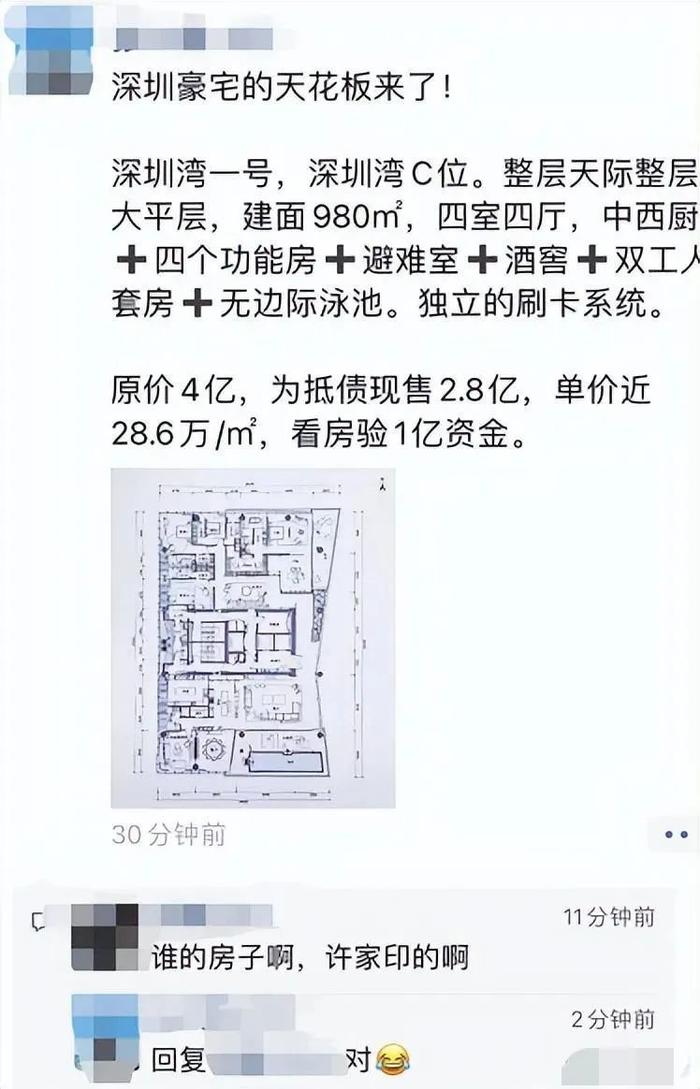 喜茶创始人聂云宸辟谣：未接盘2.7亿许家印深圳湾1号豪宅，纯属假消息