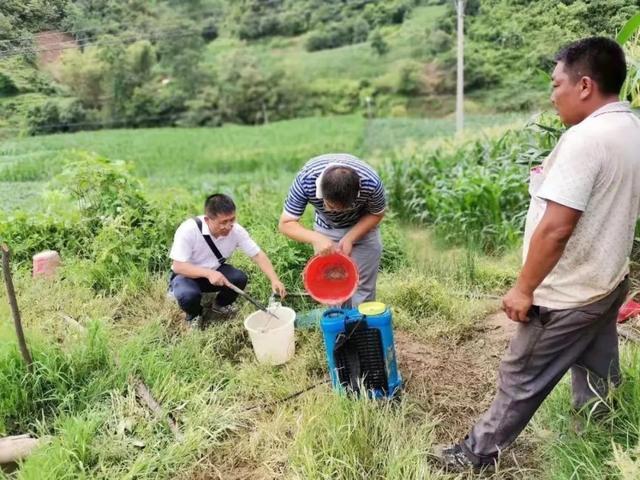 一封来自宁洱县农业农村和科学技术局的感谢信