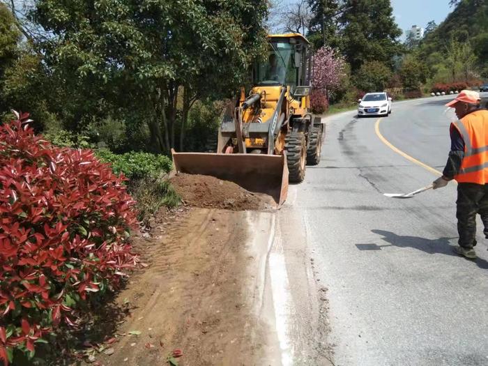 黄山市公路中心黄山分中心开展公路路域环境整治，清理路肩“菜园”