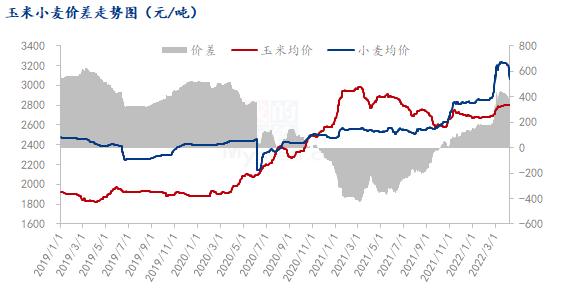 Mysteel解读：小麦价格暴跌 对玉米市场有何影响