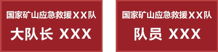 国家安全生产专业应急救援队标志标识规范公布