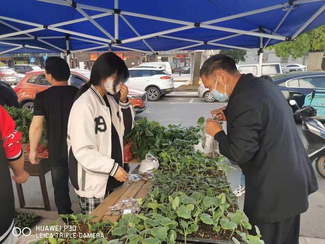 菜苗培植、农技下乡、义卖捐款——诸暨工业职业技术学校多彩实践课堂演奏“实战”三部曲