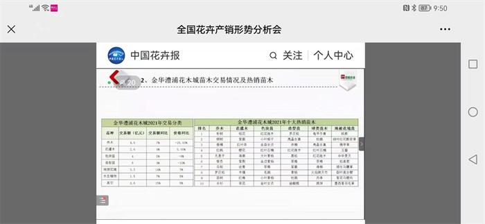 去年苗市“高开低走、春暖秋寒”，今年什么品种有机会？